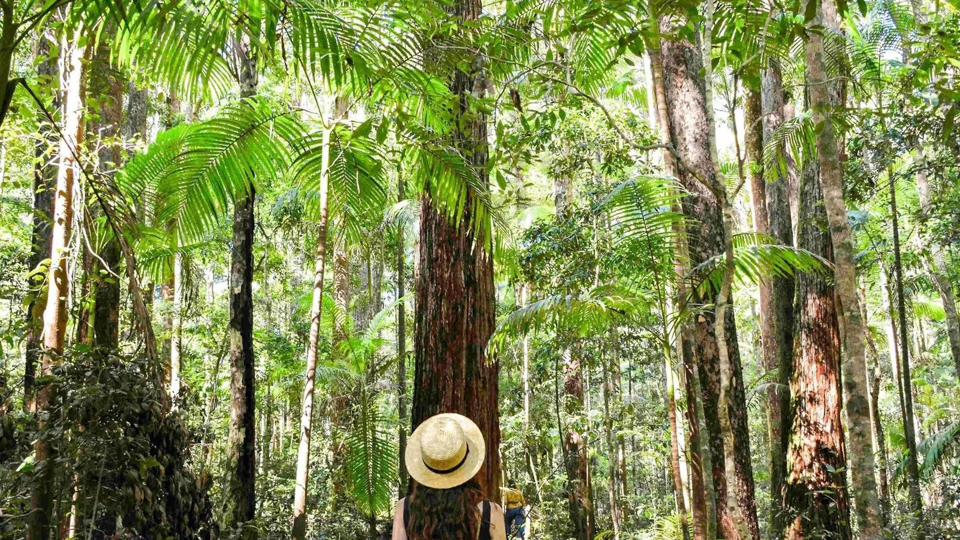 Kingfisher Bay Resort Fraser Island